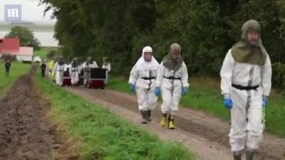 Граница между Великобританией и Данией закрыта из-за коронавируса - vesti.ru - Россия - Англия - Дания