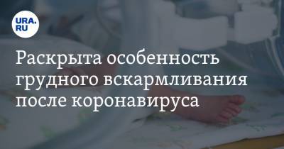 Наталья Пшеничная - Раскрыта особенность грудного вскармливания после коронавируса - ura.news