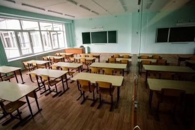 В 34 школах Хабаровска на карантин по COVID-19 закрыты 32 класса - hab.aif.ru - Хабаровск