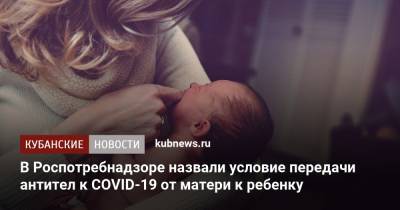 В Роспотребнадзоре назвали условие передачи антител к COVID-19 от матери к ребенку - kubnews.ru