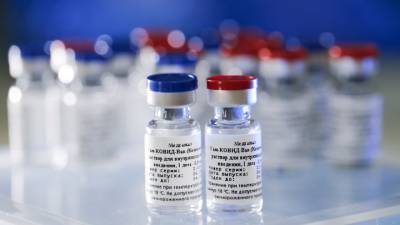 В Индии начались испытания российской вакцины от COVID-19 - vesti.ru - Россия - Индия