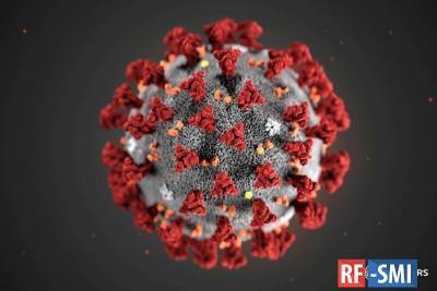 Коронавирус в России. Главное к этому часу: - rf-smi.ru - Россия - Санкт-Петербург - Москва - Московская обл.