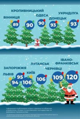 Стоимость запорожских елок одна из самых высоких – инфографика - inform.zp.ua - Украина - Запорожье