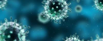 У больных коронавирусом обнаружили опасные повреждения в организме - runews24.ru - Лос-Анджелес