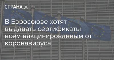 В Евросоюзе хотят выдавать сертификаты всем вакцинированным от коронавируса - strana.ua - Украина - Евросоюз