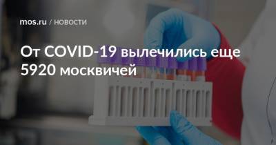 От COVID-19 вылечились еще 5920 москвичей - mos.ru - Москва