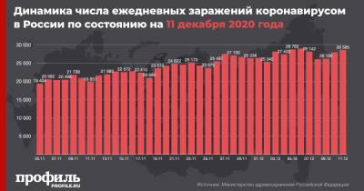 Россия обновила рекорд смертности от COVID-19 за сутки - profile.ru - Россия