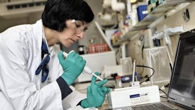 Австралия остановила испытания вакцины от COVID-19 из-за ложных тестов на ВИЧ - iz.ru - Австралия - Израиль
