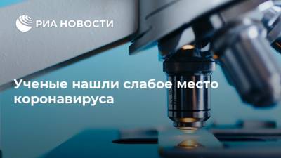 Ученые нашли слабое место коронавируса - ria.ru - Москва - Сша