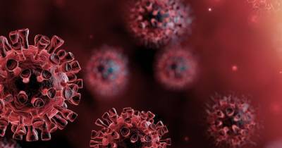 У части тестирующих вакцину от COVID-19 в Австралии обнаружили ВИЧ - focus.ua - Австралия