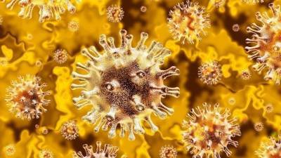Ученые обнаружили еще один распространенный симптом коронавируса - 5-tv.ru - Англия