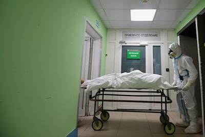 В России за сутки умерли 560 пациентов с коронавирусом - lenta.ru - Россия