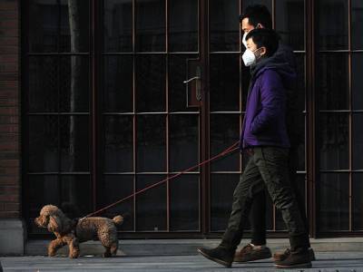 Китай закрыл город на границе с Россией из-за вспышки коронавируса - rosbalt.ru - Россия - Китай - Дуннин