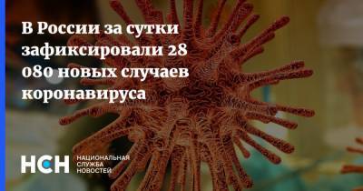 В России за сутки зафиксировали 28 080 новых случаев коронавируса - nsn.fm - Россия