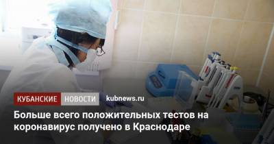Больше всего положительных тестов на коронавирус получено в Краснодаре - kubnews.ru - Краснодарский край - Сочи - Краснодар - Анапа - Абинск