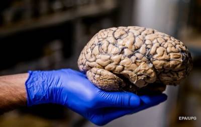 Коронавирус может напрямую поражать нейроны мозга - real-vin.com
