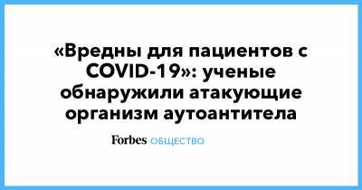 «Вредны для пациентов с COVID-19»: ученые обнаружили атакующие организм аутоантитела - forbes.ru