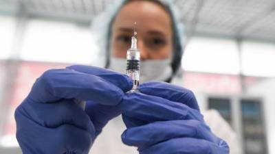 Александр Лукашенко - Лукашенко: Беларусь может запустить производство собственной вакцины от COVID-19 - rubaltic.ru - Белоруссия - Минск