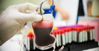 Поле Эгита - В крови доноров всё чаще находят антитела к Covid-19 - rus.delfi.lv - Латвия