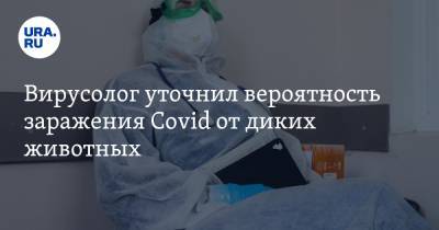 Михаил Костинов - Вирусолог уточнил вероятность заражения Covid от диких животных - ura.news - Сша