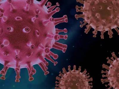 Дэвид Наварро - ВОЗ рассказала о новом опасном виде коронавируса в Британии - rosbalt.ru - Англия