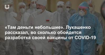 Александр Лукашенко - «Там деньги небольшие». Лукашенко рассказал, во сколько обойдется разработка своей вакцины от COVID-19 - news.tut.by - Президент