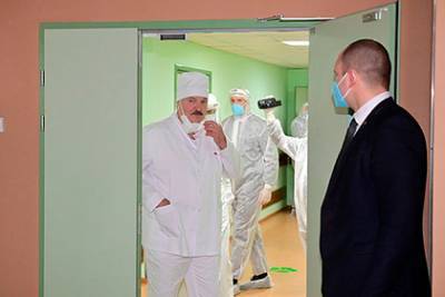Александр Лукашенко - Лукашенко назвал стоимость создания белорусской вакцины от коронавируса - lenta.ru - Белоруссия