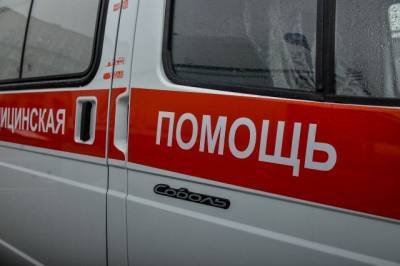 Мадина Евлоева - В Ингушетии врачи спасли новорожденного, мать которого умерла от COVID-19 - aif.ru - республика Ингушетия
