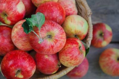 Ученые выяснили, как употребление яблок защищает от COVID-19 - enovosty.com - Индия