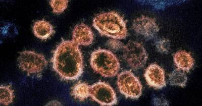 Новый штамм коронавируса в Британии: что о нем известно и как это повлияет на вакцины - focus.ua - Англия