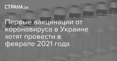 Максим Степанов - Первые вакцинации от коронавируса в Украине хотят провести в феврале 2021 года - strana.ua - Украина