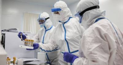 Алексей Аграновский - Вирусолог рассказал, будут ли создавать новую вакцину для коронавируса каждый год - m24.ru - Москва