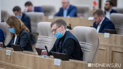 Екатеринбургские депутаты подняли расходы на самих себя из-за коронавируса - newdaynews.ru - Екатеринбург