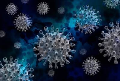 В России за сутки выявлено более 28 тысяч новых случаев коронавируса - online47.ru - Россия