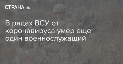 В рядах ВСУ от коронавируса умер еще один военнослужащий - strana.ua - Украина