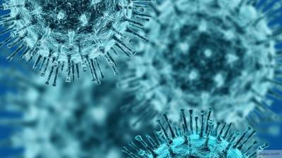 Александр Гинцбург - Гинцбург назвал срок появления иммунитета к COVID-19 после "лайт-вакцины" - newinform.com