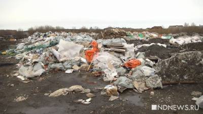 Россия забраковала предложение по отказу ЕАЭС от пластиковых пакетов - newdaynews.ru - Россия - Киргизия - Белоруссия - Казахстан - Минск - Армения