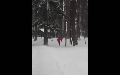 Подростки взорвали беличьи домики в Выксунском парке - vgoroden.ru