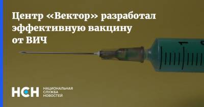 Центр «Вектор» разработал эффективную вакцину от ВИЧ - nsn.fm - Новосибирск