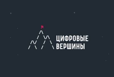 В Ленобласти IT-специалистов приглашают покорить «Цифровую вершину» - online47.ru - Ленобласть обл.