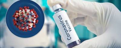 В Бельгии случайно засветили стоимость шести вакцин от COVID-19 - runews24.ru - Бельгия