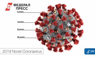 Ученые из ЮАР обнаружили новую мутацию коронавируса - fedpress.ru - Юар