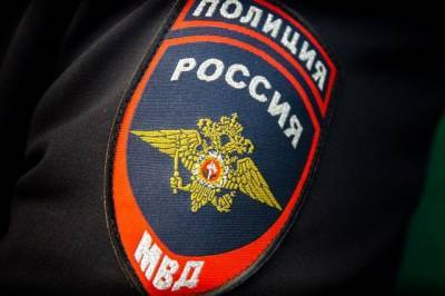 С начала года МВД возбудило 37 уголовных дел о фейках во время пандемии - aif.ru - Россия