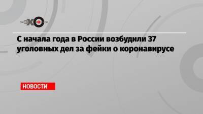 Владимир Путин - С начала года в России возбудили 37 уголовных дел за фейки о коронавирусе - echo.msk.ru - Россия