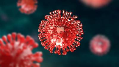 В мире нашли новый опасный штамм коронавируса - Cursorinfo: главные новости Израиля - cursorinfo.co.il - Израиль - Юар