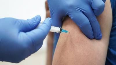 Ринат Максютов - «Вектор» сообщил о доклинических испытаниях еще одной вакцины от COVID-19 - iz.ru - Израиль
