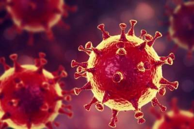 Звели Мкхизе - В ЮАР обнаружили новый опасный штамм коронавируса - zik.ua - Юар