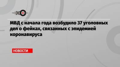 МВД с начала года возбудило 37 уголовных дел о фейках, связанных с эпидемией коронавируса - echo.msk.ru