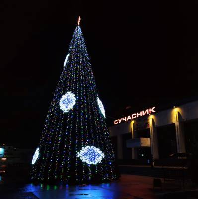 Открытие новогодней елки в Запорожской области пройдет “онлайн” - inform.zp.ua - Запорожская обл.