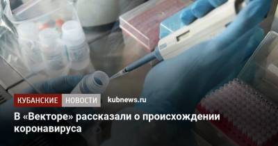 Ринат Максютов - В «Векторе» рассказали о происхождении коронавируса - kubnews.ru - Россия